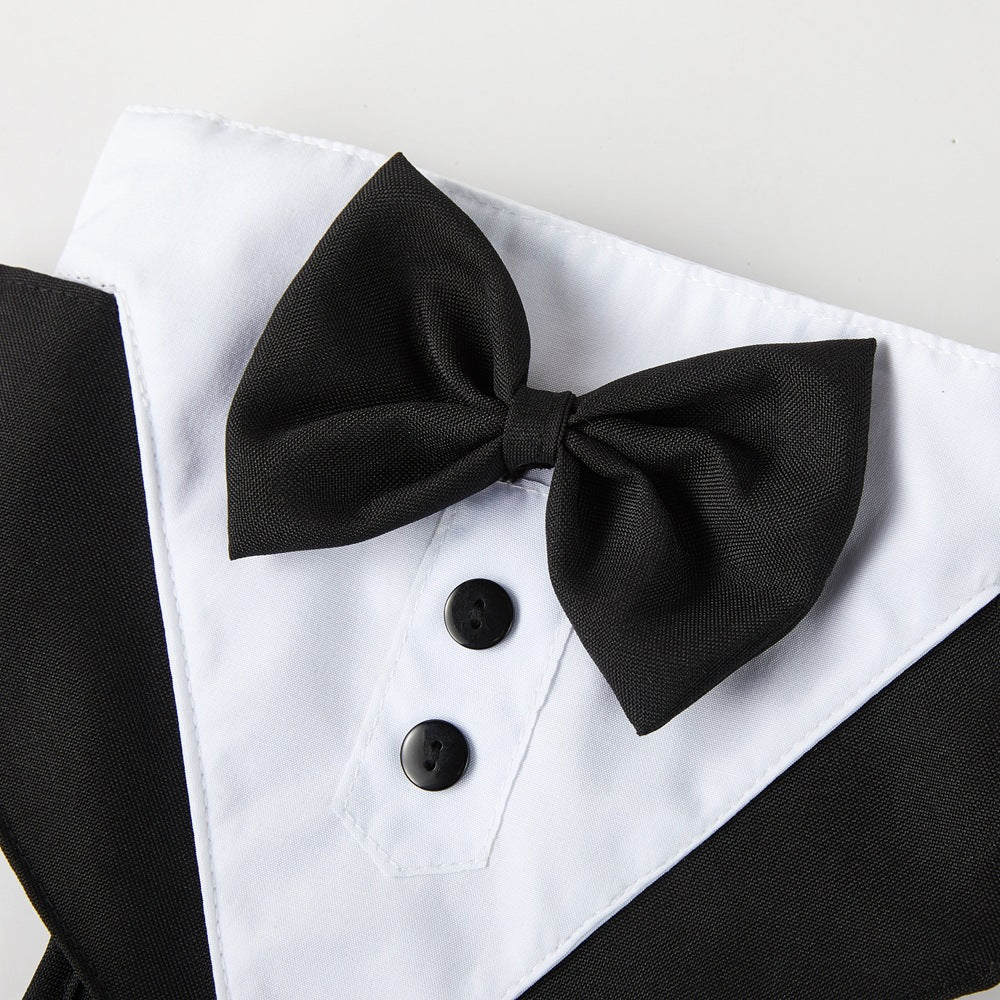 Paws in Elegance: Tuxedo Costume for Pets