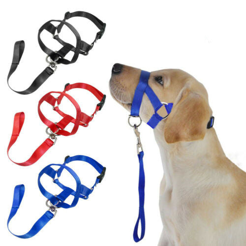 ControlPaws Rectification Rushing Leash - Secure Your Dog's Safety