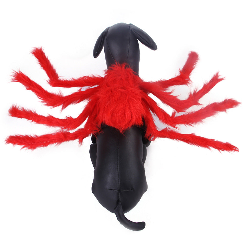 Spook-tacular Spider Costume: Halloween Dress-Up for Pets