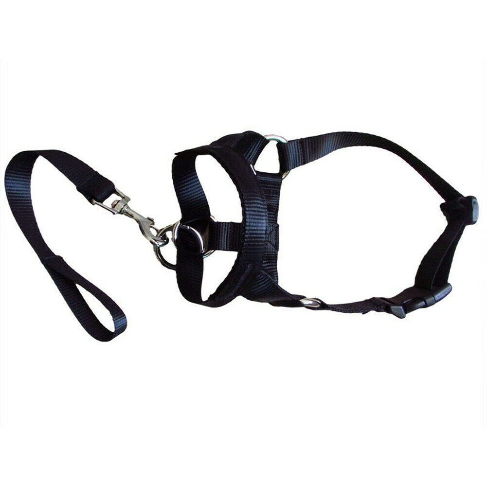 ControlPaws Rectification Rushing Leash - Secure Your Dog's Safety