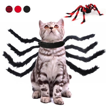 Spook-tacular Spider Costume: Halloween Dress-Up for Pets