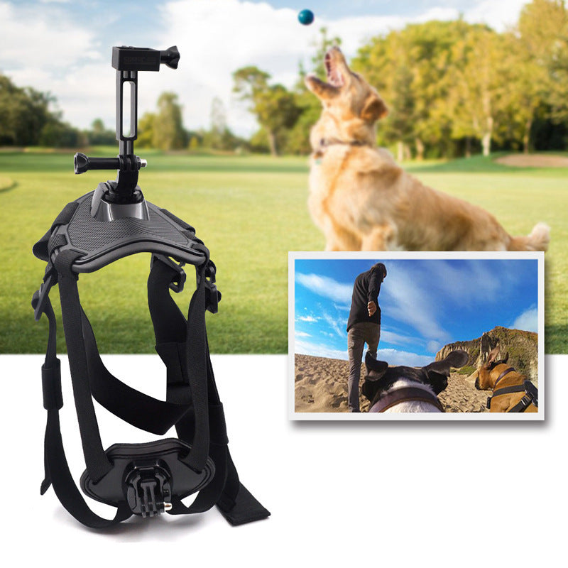 PawCam360: Elevate Your Dog's Video Adventures with the Ultimate Content Creator