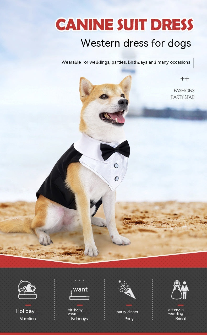 Dapper Pup Attire: Holiday Wedding Party Dog Clothes