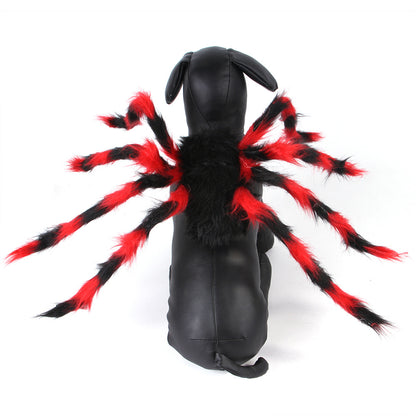 Spook-tacular Spider Costume: Halloween Dress-Up for Pets