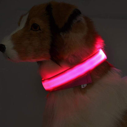 Rechargeable LED Pet Luminous Collar