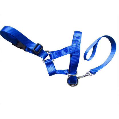 ControlPaws Rectification Rushing Leash - Secure Your Dog's Safety