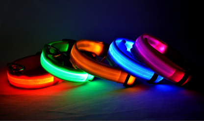 Rechargeable LED Pet Luminous Collar