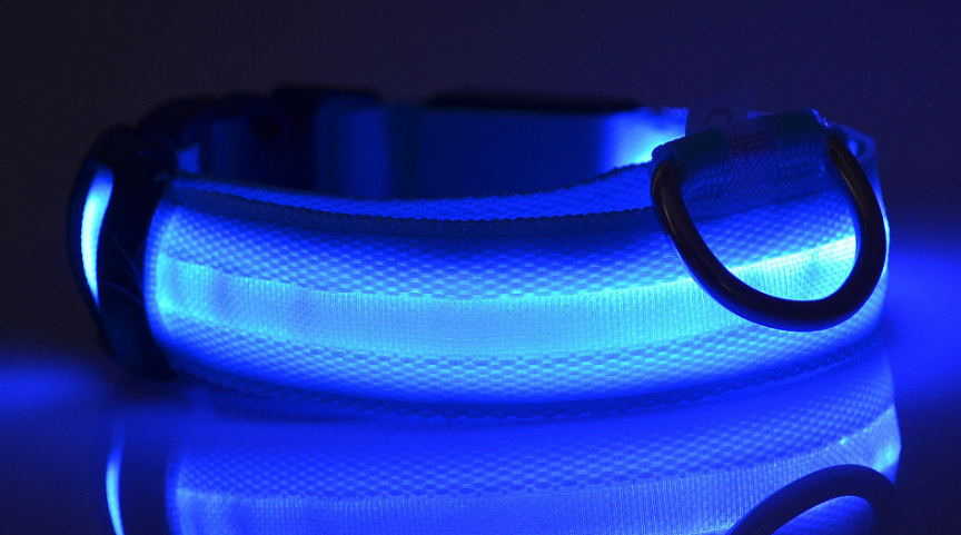 Rechargeable LED Pet Luminous Collar