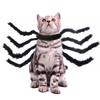 Spook-tacular Spider Costume: Halloween Dress-Up for Pets