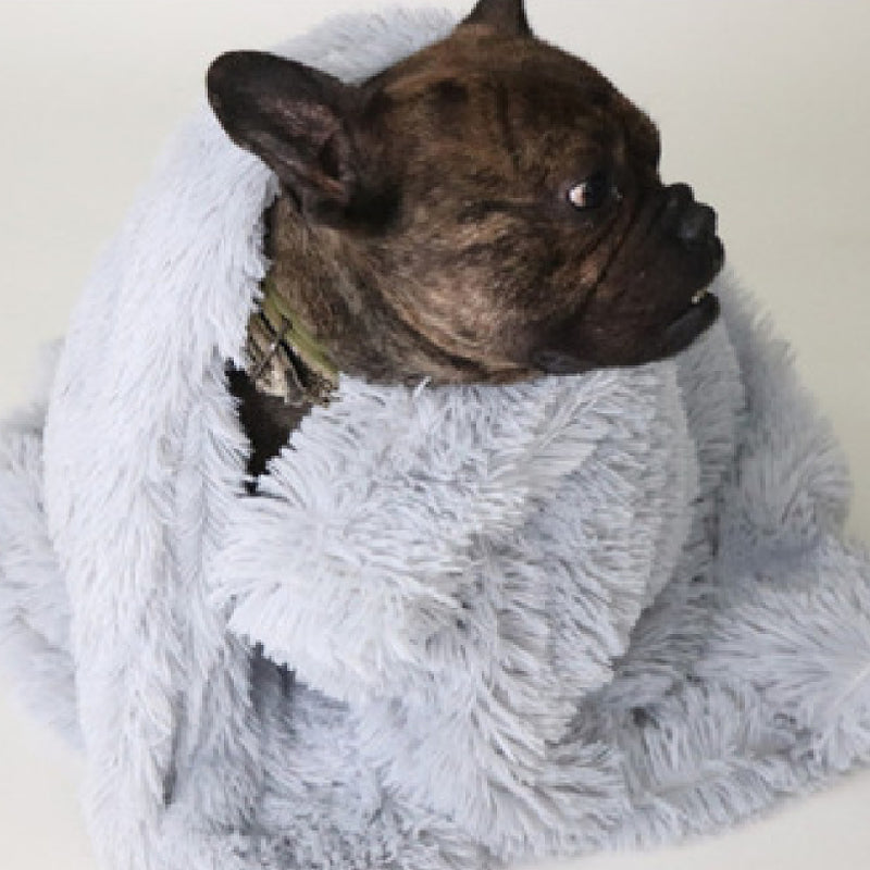 CozyHaven Pet Blanket: Fashionable Comfort for Dogs and Cats