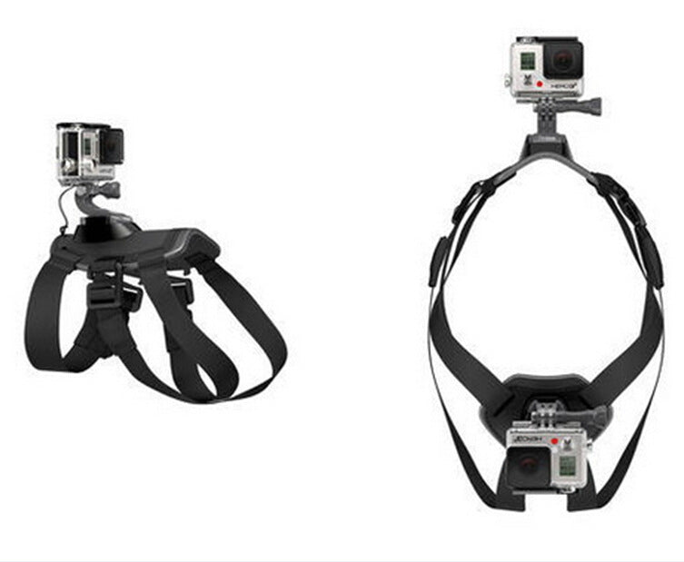 PawView Dog Harness Mount for GoPro: Unleash Your Dog's Inner Content Creator