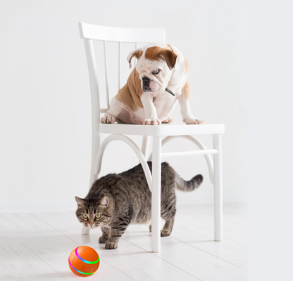 Interactive Pet Wicked Ball Toy - Entertain Your Cat with Intelligent Self-Rotating Fun