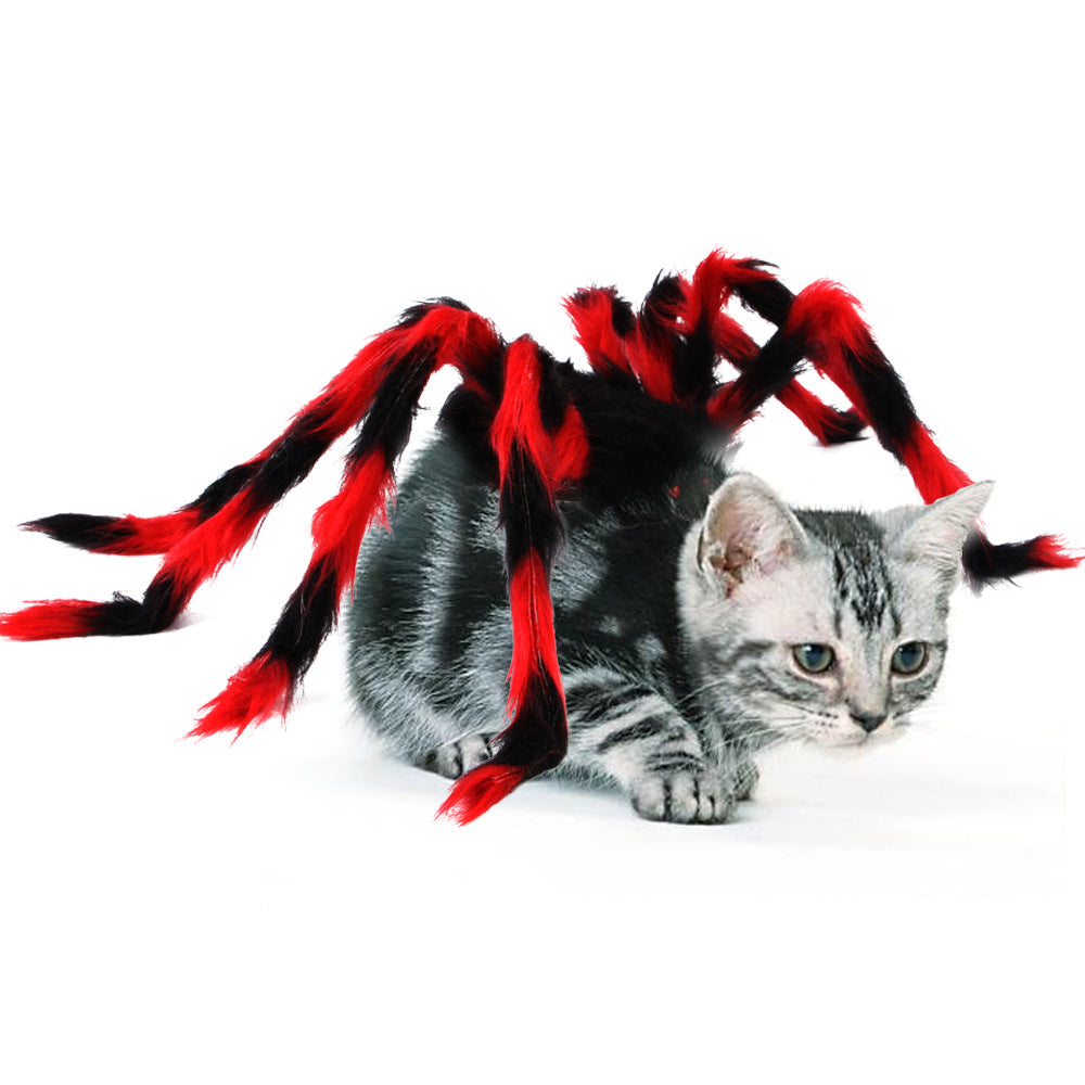 Spook-tacular Spider Costume: Halloween Dress-Up for Pets