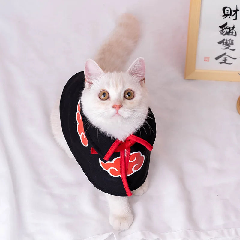 Anime Whisker Cat Costume - Exclusive Anime-Inspired Outfit for Feline Fashion at PetAholic