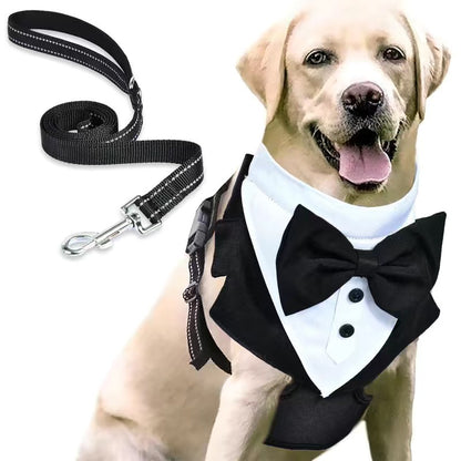 Paws in Elegance: Tuxedo Costume for Pets