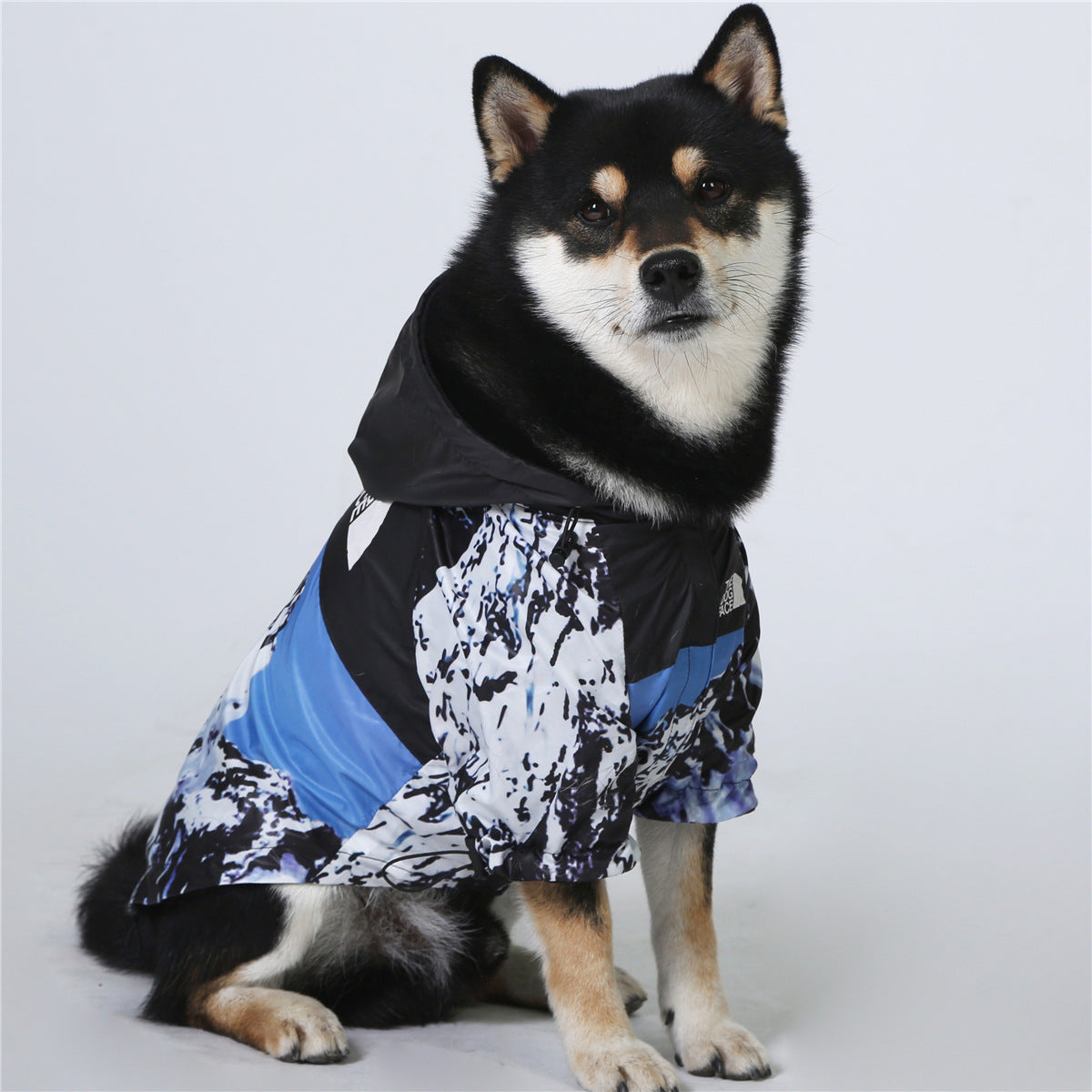 PawNorth WindGuard Dog Raincoat: Rainproof at PetAholic