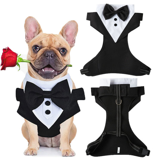 Paws in Elegance: Tuxedo Costume for Pets