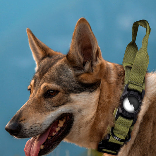 Protective AirTag Dog Collar Attachment: Secure Positioning for Your Pet