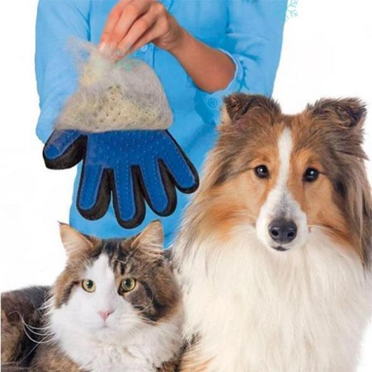 PamperGloves Pet Bathing Mitt: A Gentle Spa Experience at PetAholic