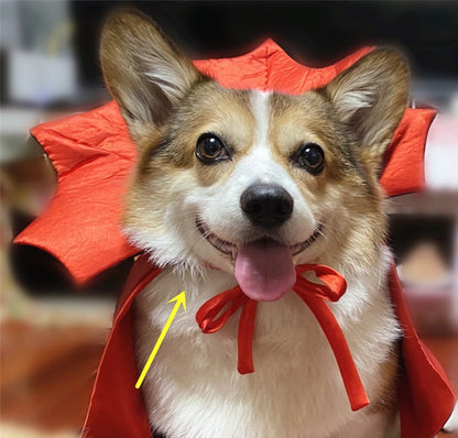 Regal Halloween Pet Costume: Vampire King Cape for Pets