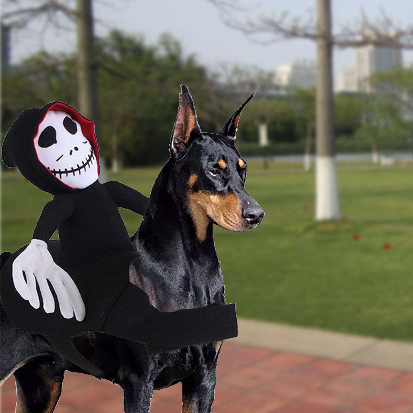 Funny Halloween Pet Costume: Spooky Spider & Pumpkin Vest for Festive Fun